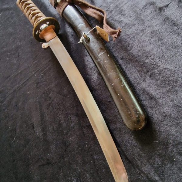 Katana - Tamahagane Wakizashi 300k2 - Japón